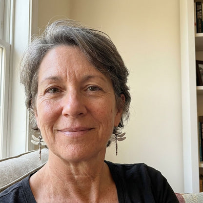 Vintage Dragonfly Silver Earrings