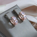 Elegant Crystal Encrusted Earrings